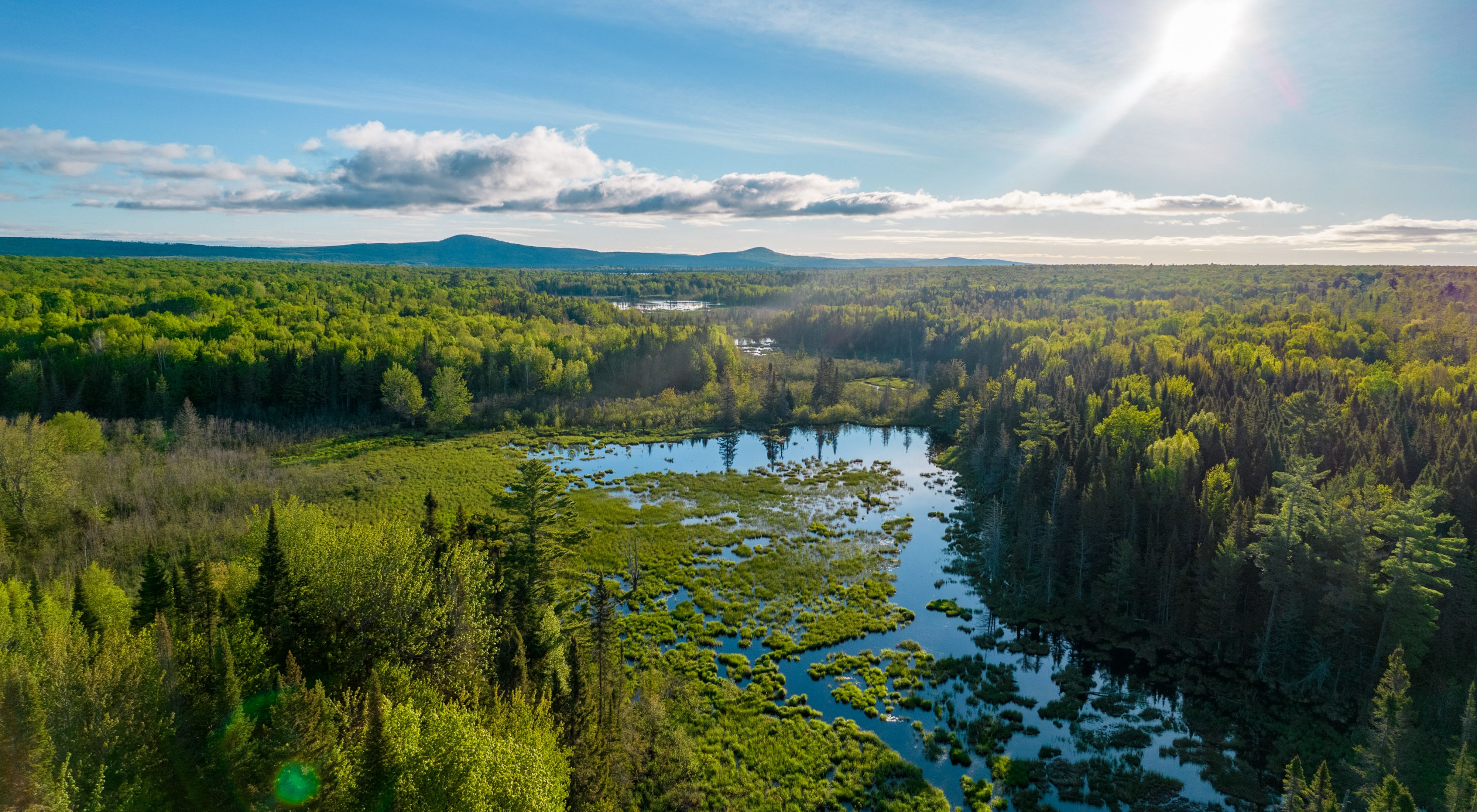 Aerial view of a vast forest with various shades of green and bright blue fresh water in the Keweenaw Peninsula in Michigan on a sunny day. White, fluffy clouds dot the sky.