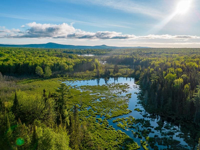 Aerial view of a vast forest with various shades of green and bright blue fresh water in the Keweenaw Peninsula in Michigan on a sunny day. White, fluffy clouds dot the sky.