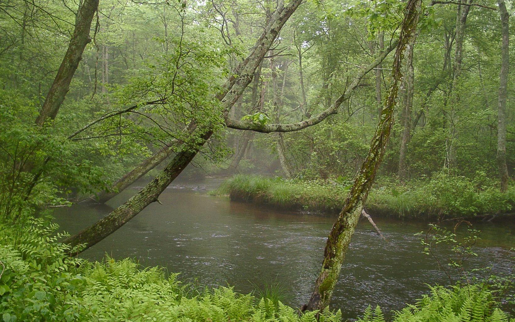 Queen's River Preserve  The Nature Conservancy in Rhode Island