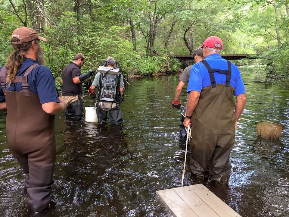 Queen's River Preserve | The Nature Conservancy in Rhode Island