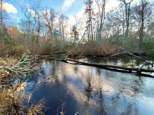 A small river winds through open woodlands, reflecting the white clouds and blue sky above.