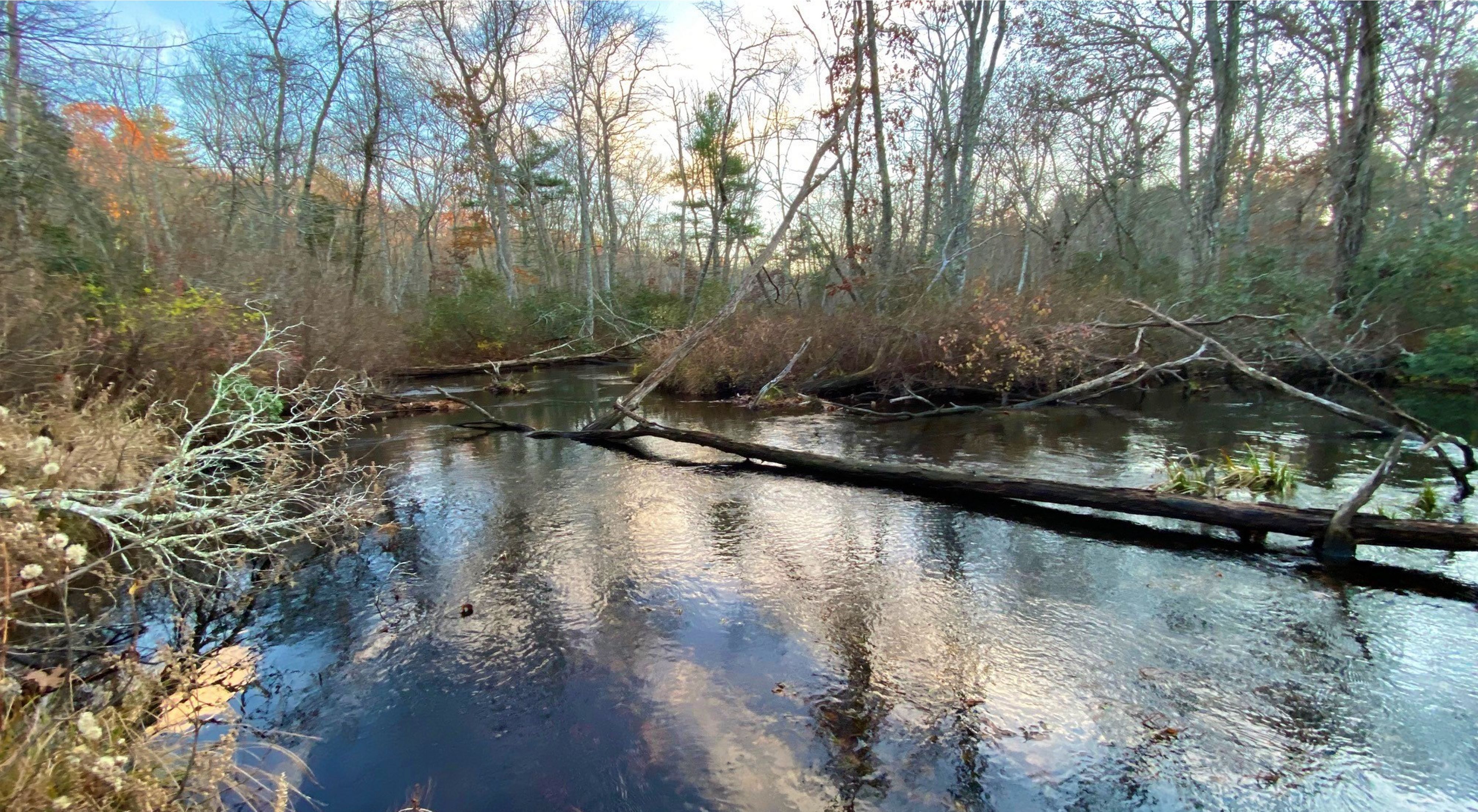 A small river winds through open woodlands, reflecting the white clouds and blue sky above.