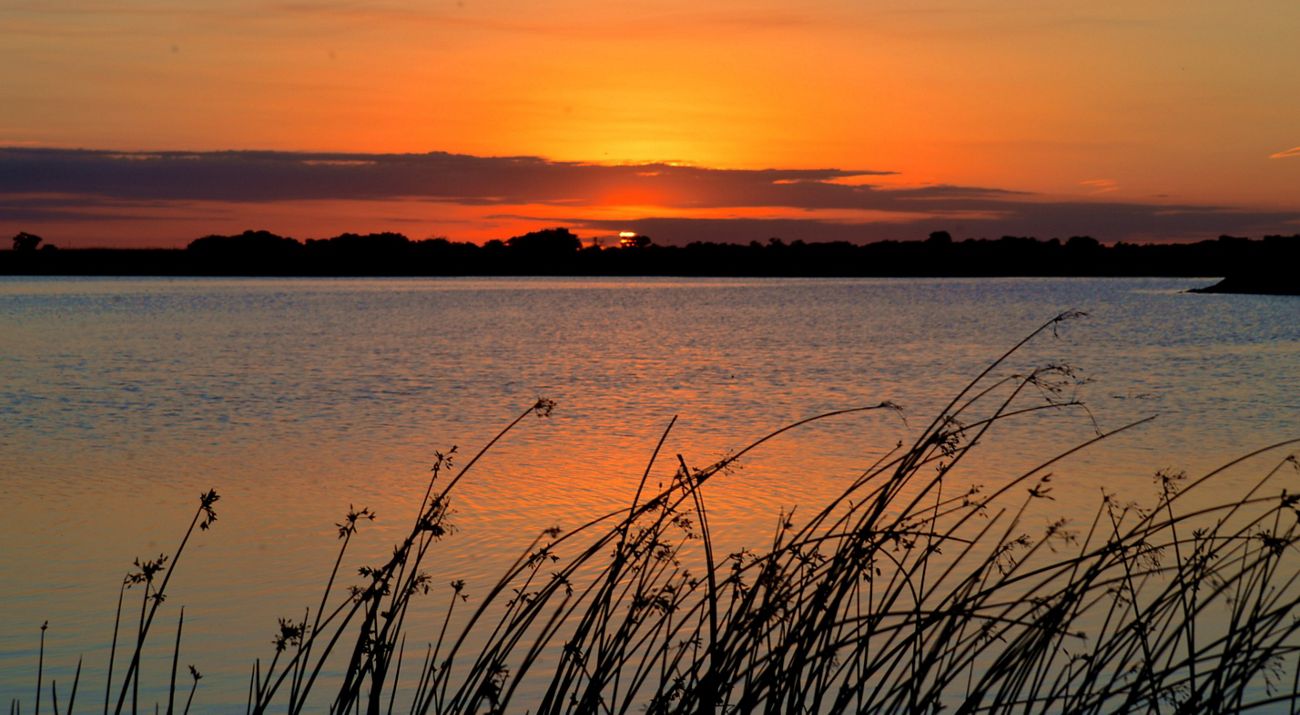A sunset over a calm body of water with the sun partially obscured by the horizon. Silhouetted reeds in the foreground sway gently.