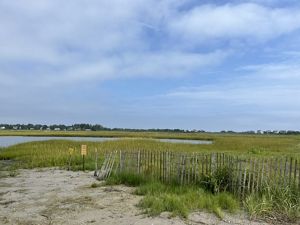 A weathered wood and wire fence cuts across a small area of green salt marsh.