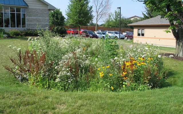 A vibrant patch of wildflowers grows in the midst of a large lawn.