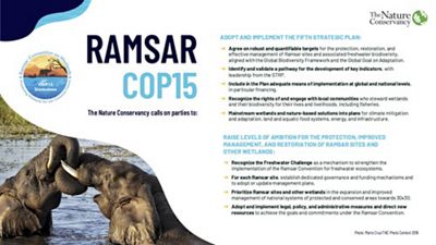 A list of standards for COP15 participants to adopt for freshwater conservation.