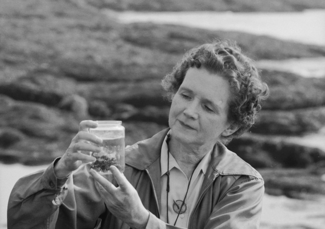 Rachel Carson studies something in a jar.
