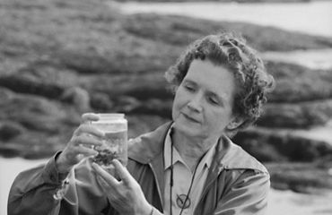 Black and white photo of biologist and author Rachel Carson by the shore, examining a specimen in a jar.