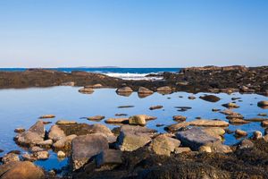 A view past a tidal salt pond toward the ocean beyond.