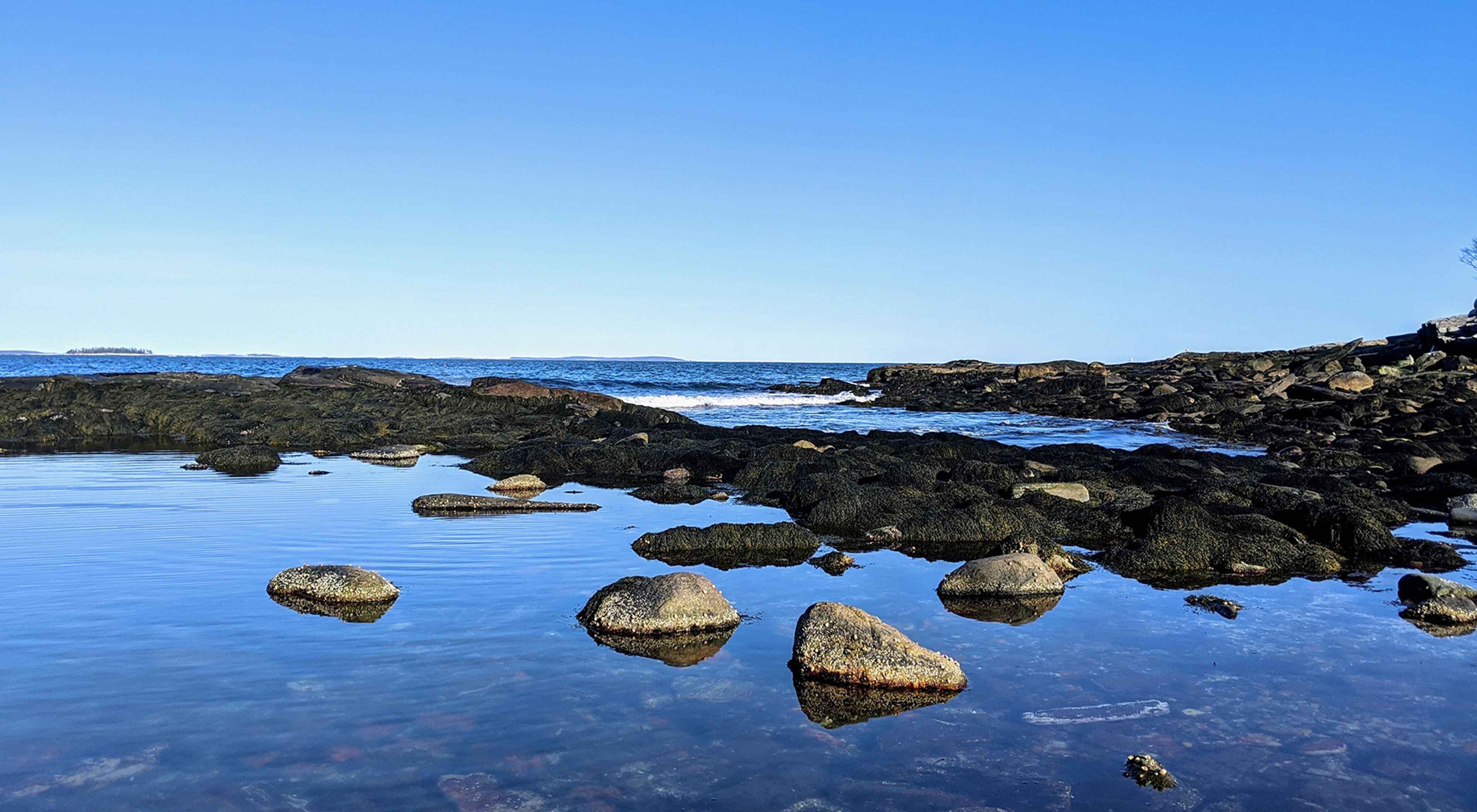 Rocky tidepools along the shore at Rachel Carson Salt Pond Preserve in Maine.