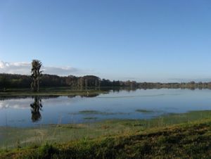 A large reservoir edged by grass and trees.