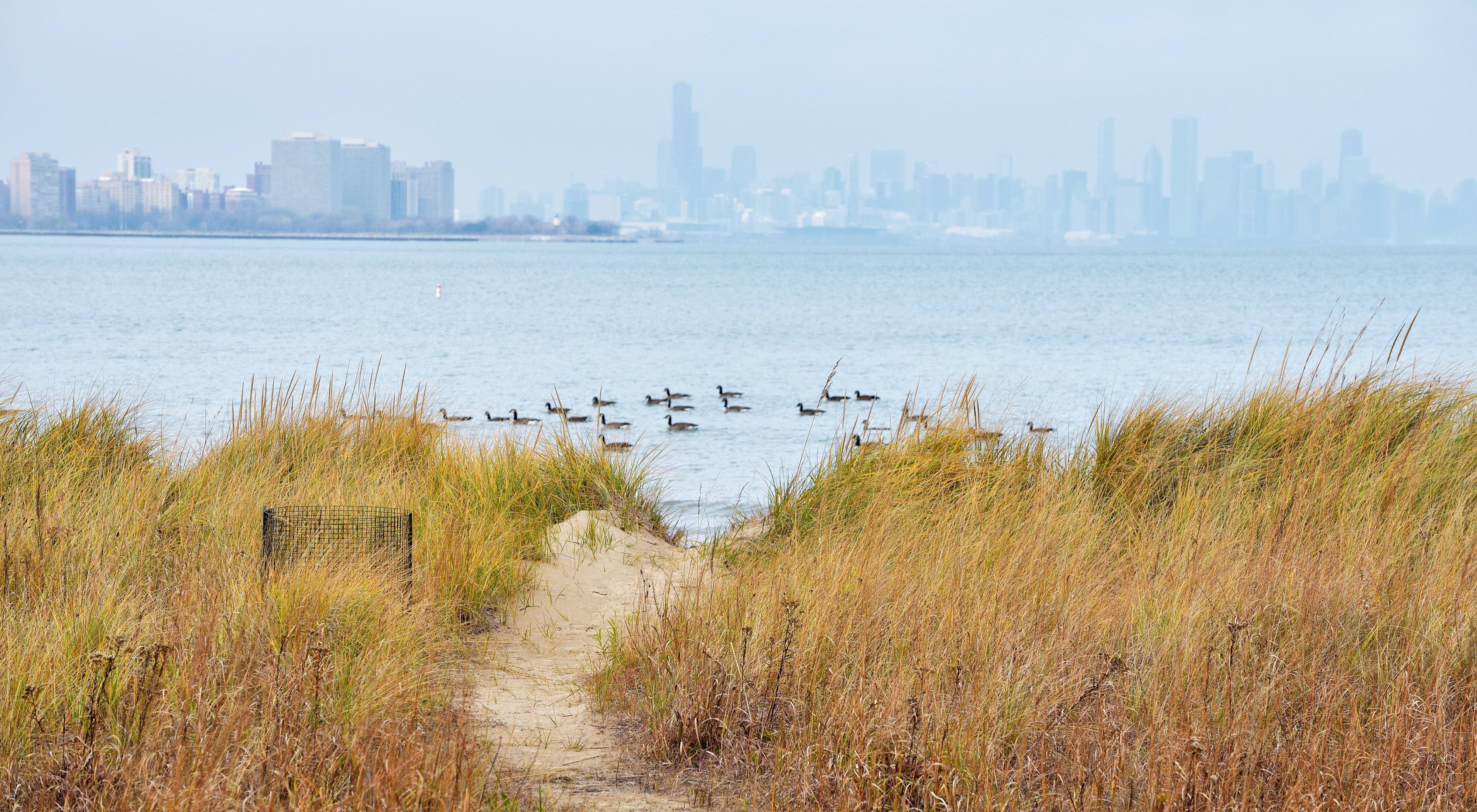 A pathway through a grassy area overlooking a body of water and the Chicago skyline at the Rainbow Beach Park Natural Area.