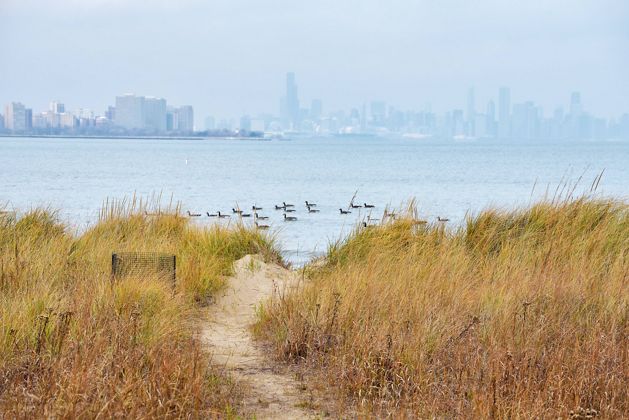 A pathway through a grassy area overlooking a body of water and the Chicago skyline at a beach.