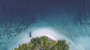 aerial photo of a blue ocean against a sandy shore.