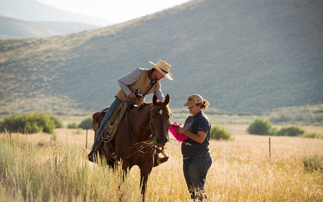 Cowboy on a horse in a pasture talking with a scientist standing next to the horse and holding a clipboard, blue sky in the foreground. 