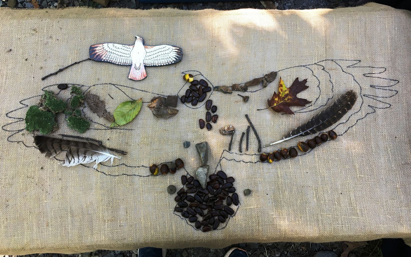A collection of feathers, leaves, moss and other treasures.