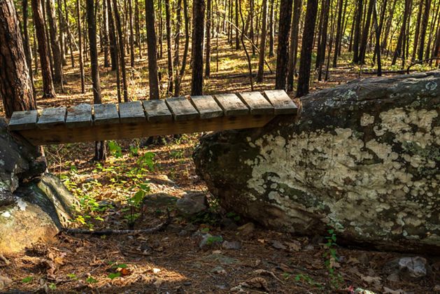 Wooden bridge in the woods.