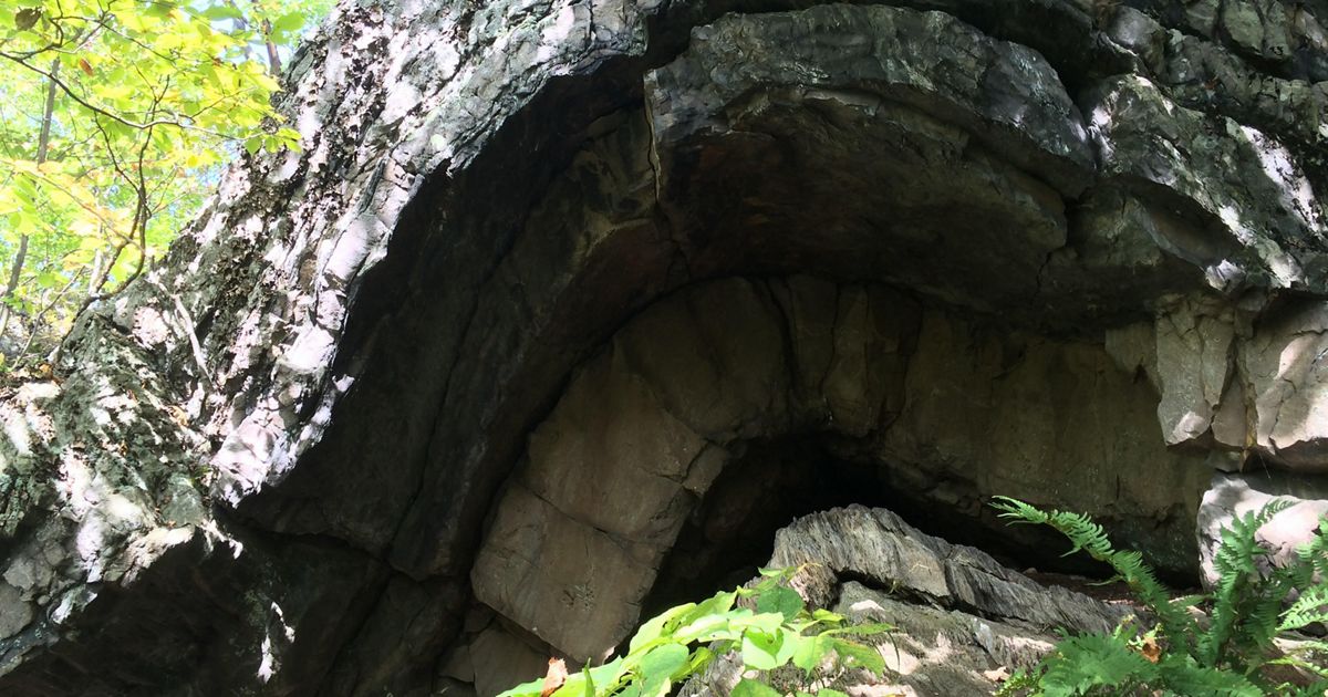Raven Ridge Natural Area | The Nature Conservancy in Vermont