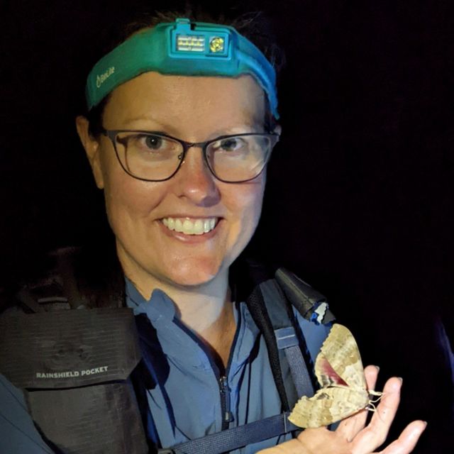 A woman wearing glasses and a headlamp smiles while holding a moth.