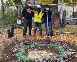 Three people stand in a dirt yard in front of a circle of newly planted shrubs.