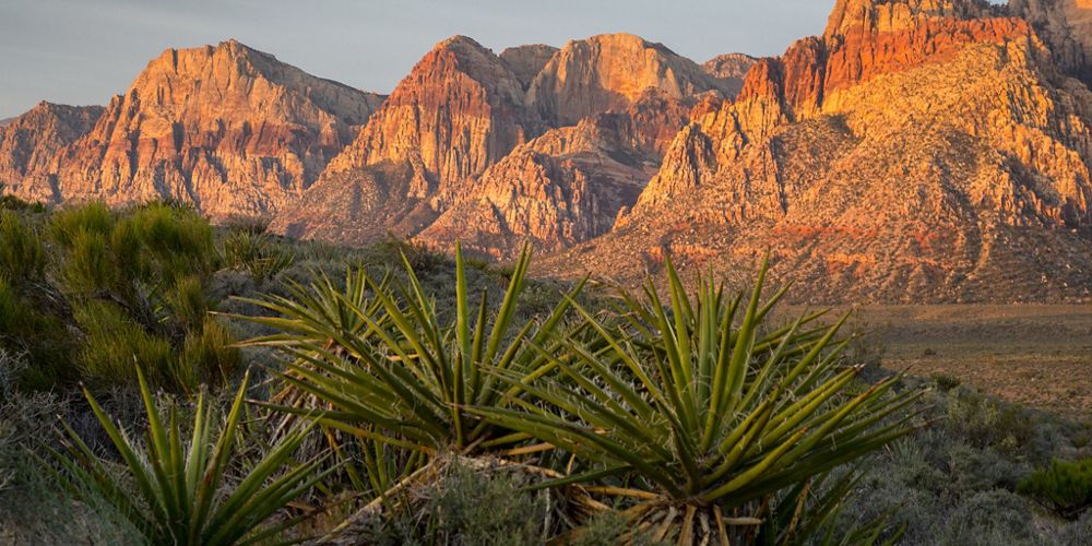 A desert environment with mountains in the background.