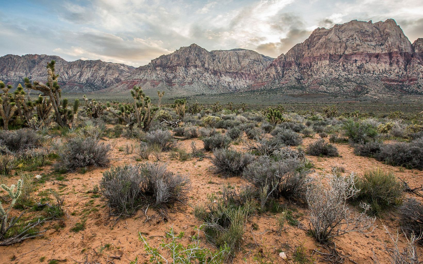 View of Red Rock Canyon