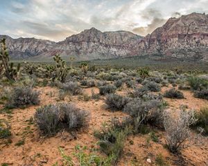 Towering red rock mountains in the background with a desert landscape in the foreground.