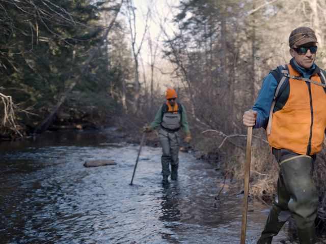Two people wearing bright orange vest wade in a river to search for fish.