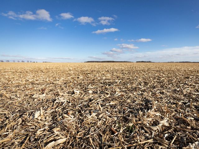 no-till field with crop residue left behind.