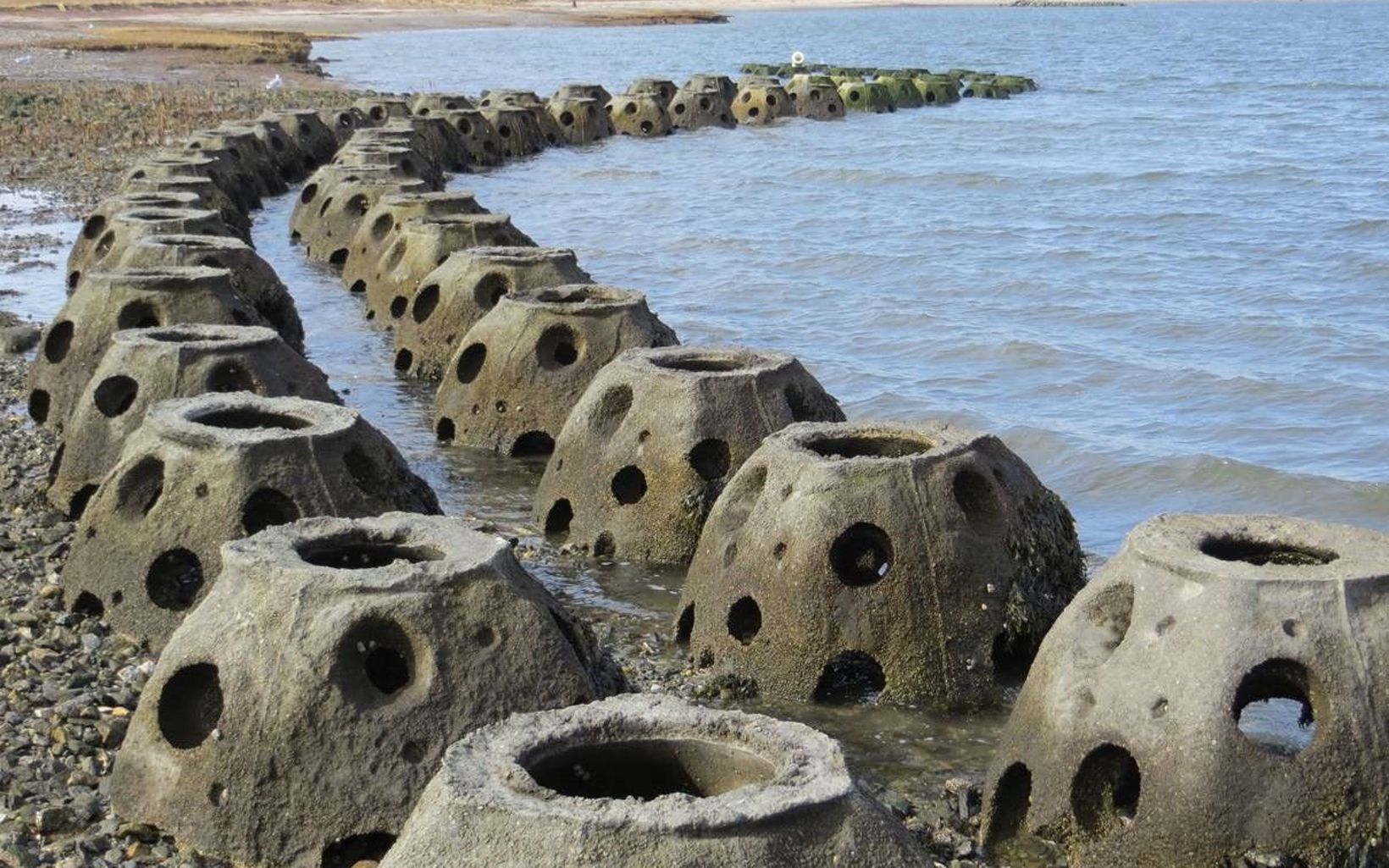 Reef balls curving along the shoreline at Stratford Point to help restore the reef marsh. 