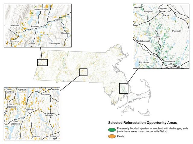 A map that shows forest restoration opportunities in Massachusetts, with three areas highlighted in the Western, Central and Southeastern parts of the state.