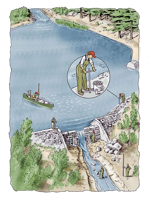 A color pencil illustration shows a dam being surveyed to plan its removal.