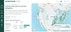 Screenshot of reforestation hub.