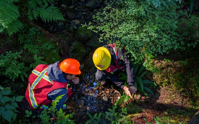 Two Indigenous Guardians working in the forest.