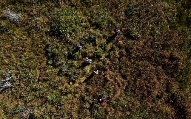 aerial view of restoration practitioners in a peat bog.