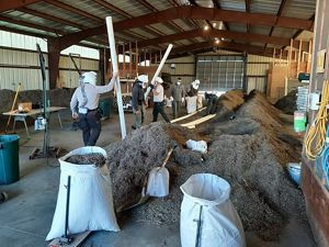 People in a warehouse around a pile of collected seed.