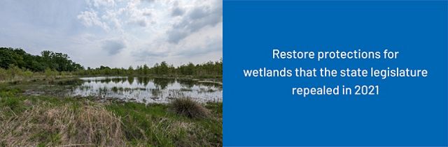 Wetlands image with poll stat.