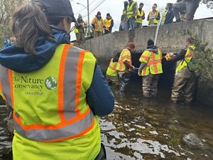 A group of people wearing yellow vests gather to work around a stream.