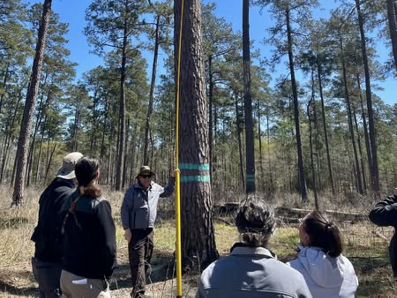 A group of people gather around a tall tree under a blue sky.