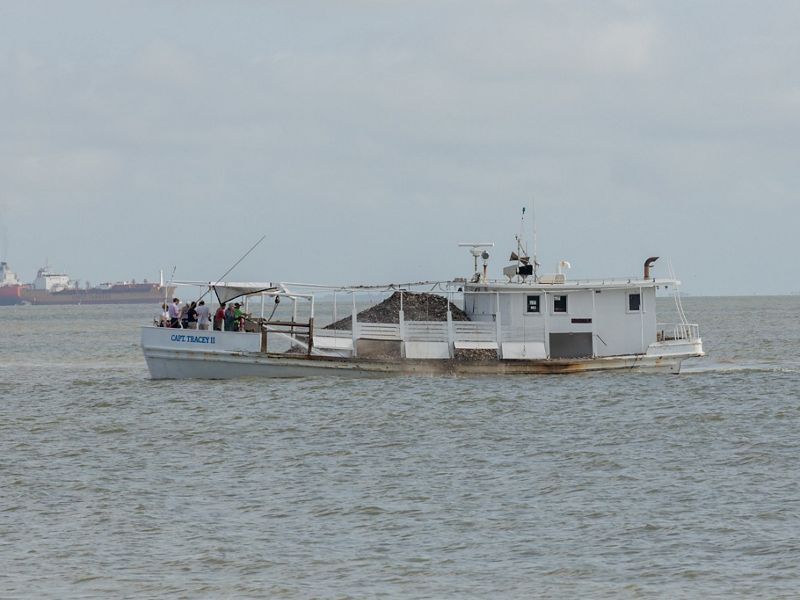 A boat filled with oyster shells cruises along in the ocean.
