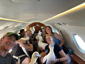 Several people sit in a small plane and hold red-footed booby decoys.