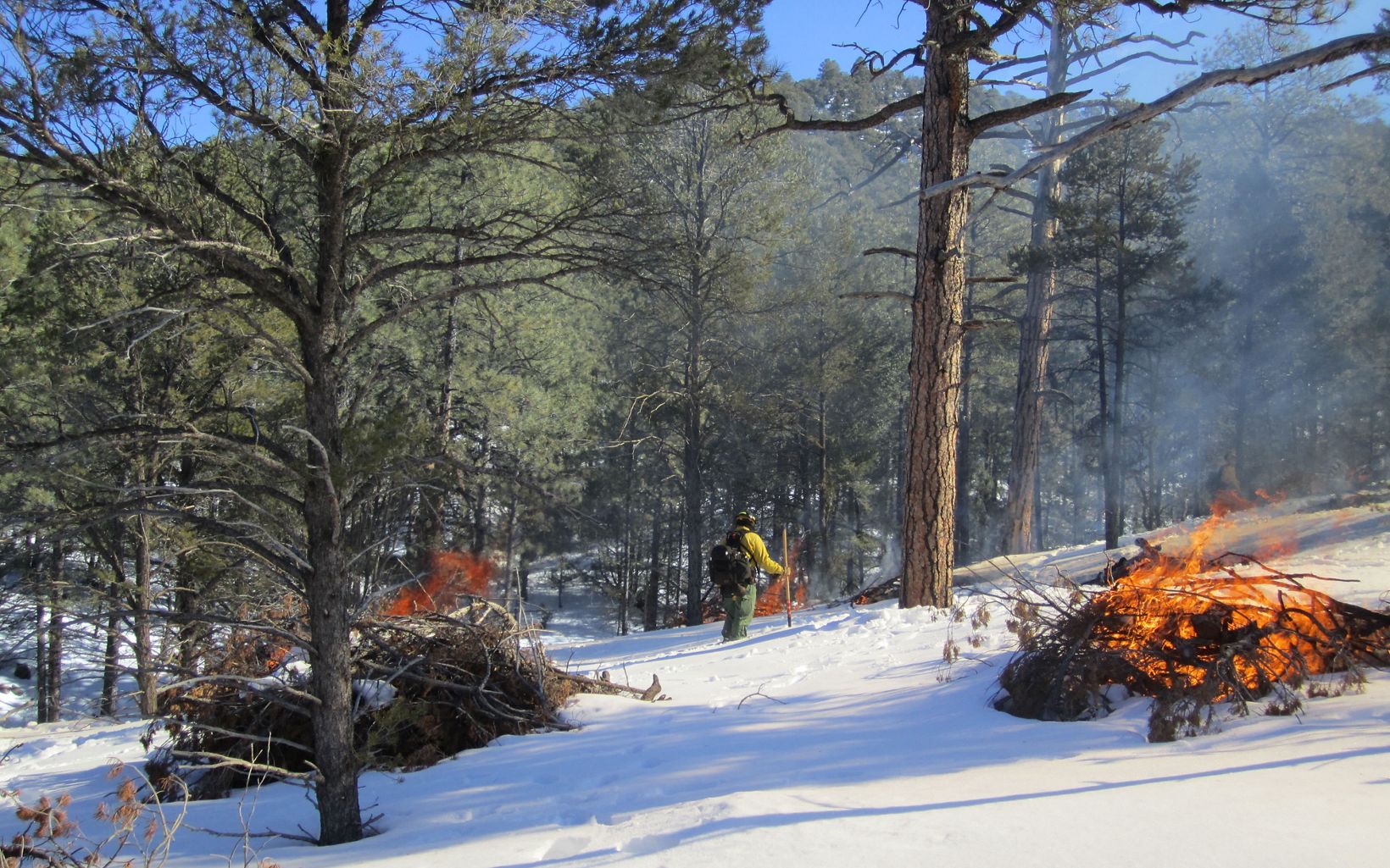 A man in yellow and green safety clothing monitors a small fire in the forest. The ground has a solid coating of white snow.