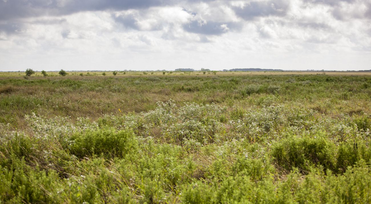 Flat prairie under a gray, cloudy sky.