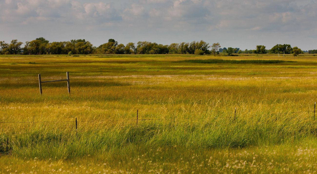 View of a prairie landscape.