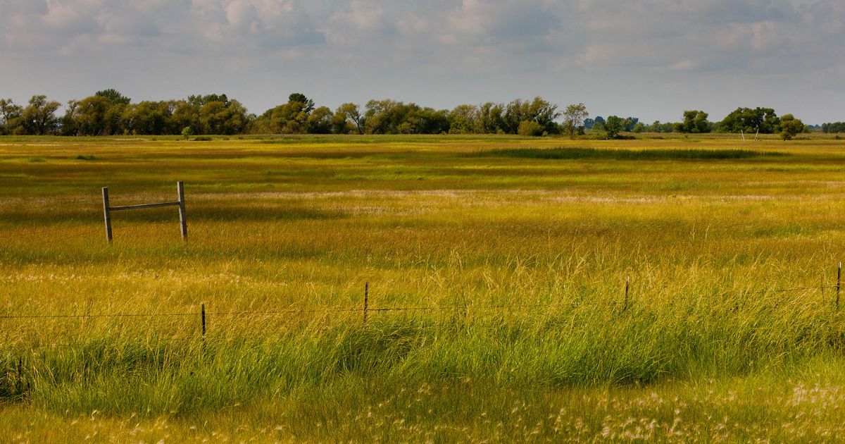 Spring Prairie Preserve | The Nature Conservancy in Minnesota