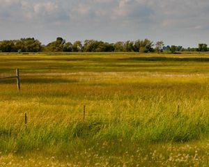 Spring Prairie Preserve