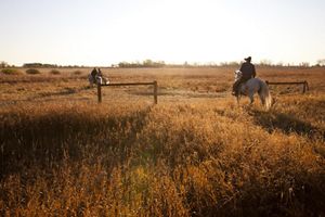 People on horseback in a prairie.