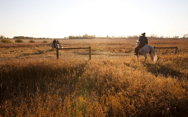 two ranchers on horses riding into a prairie.