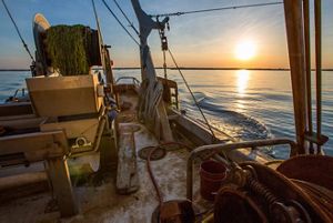 The deck of a fishing boat as the sun rises over the water.