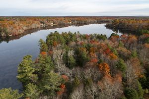 Aerial photo of a small pond surrounded by pine and oak forest during fall foliage season.